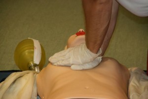 1185920_525322614202913_668111453_n